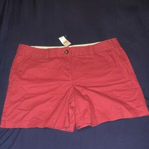 LOFT NWT Women's Shorts size 14